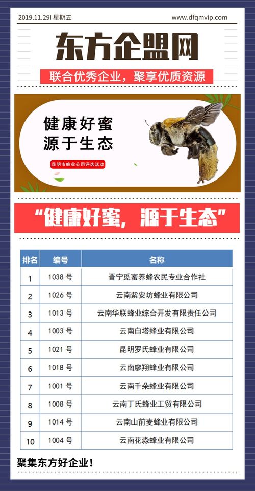 健康好蜜，源于生態——昆明市蜂業公司評選活動信息技術咨詢服務方案
